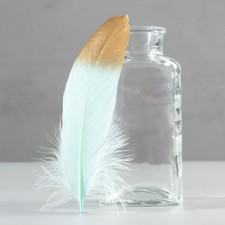 A set of goose feathers 15-20 cm, 10 pcs, mint with gold