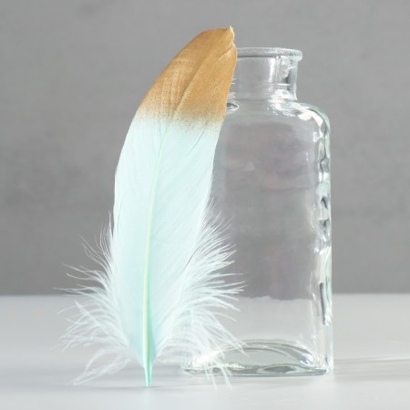A set of goose feathers 15-20 cm, 10 pcs, mint with gold