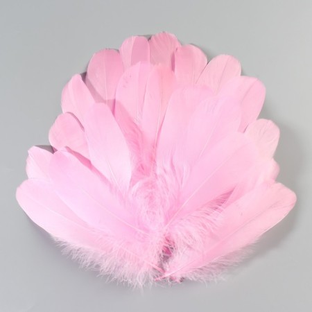 A set of goose feathers 13-18 cm, 20 pcs, bright pink-1