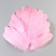 A set of goose feathers 13-18 cm, 20 pcs, bright pink