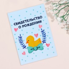 Folder for the birth certificate 