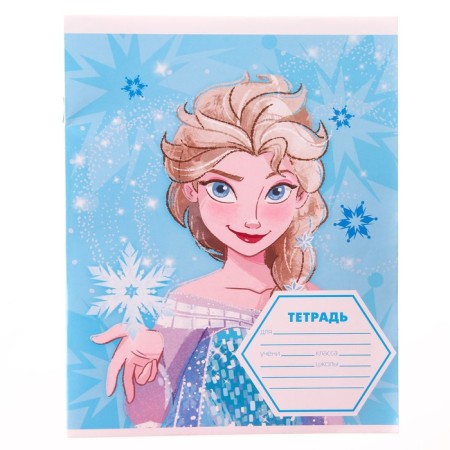 Notebook in a ruler of 12 sheets, 4 types of mix, cover coated paper, cold heart-5