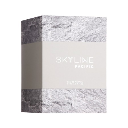 Perfumery water men's Skyline "Pacific", 100 ml-3
