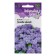 Seeds Ageratum "Thunderstorm"*, 0.05 g, 20
