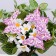 Decor on the clothespin "Butterfly", lilac, 12 cm
