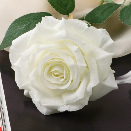 Artificial flowers "Rose Grand Prix at" 8x56 cm, white-1