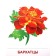 A set of cards. Garden flowers. 16 demonstration pictures