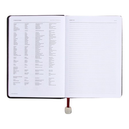 Deliciper of Leduced A5, 160 sheets of Polo New, solid cover, artificial leather, green-13