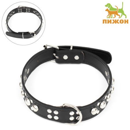Collar "Sirius", leatherette with rivets, 56 x 3 cm, Osh 42-52, black