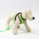 Drinking harness with a leash and reflective patch, s, ok 27, og 30-38, green