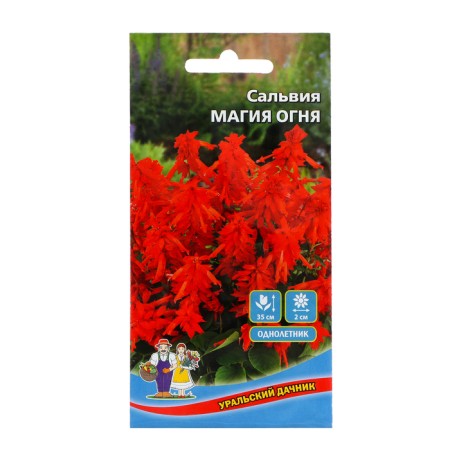 Salvia flowers "Magic of Fire", 0, 1 g,