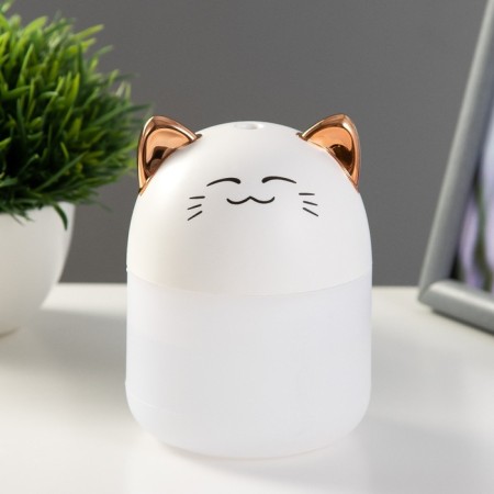 Night-owner "Tigeron" LED 2W USB 250ml white 8.4x8.4x10.8 cm Risalux-1