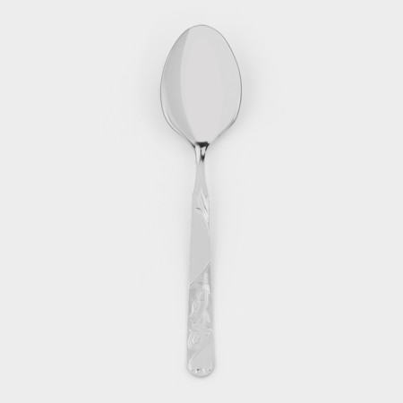 Tablespoon “Economy”, h = 20 cm, thickness 1.5 mm, silver color-1