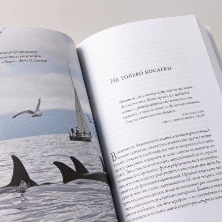 Cloudy, killer whales are possible. Filatova O.-5