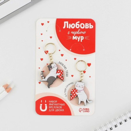 Key keychain, pair on the magnet, 2 pcs "MUR", 9 x 15 cm-1