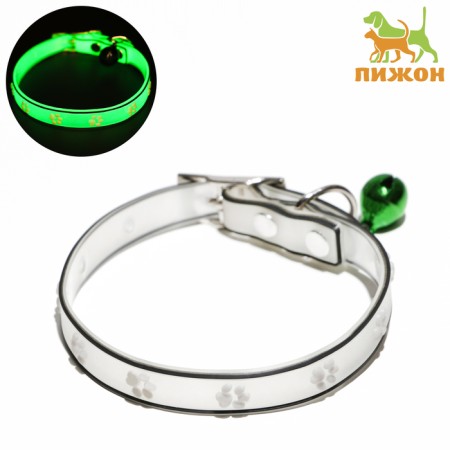 Collar "paws", 28 x 1 cm, Osh 18-24 cm, transparent/white