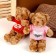 Soft toy "Bear in a T -shirt", Mix colors
