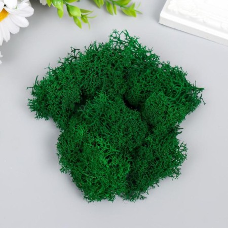 Moss stabilized "bright green" 45 grams (+-5 gr)