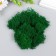 Moss stabilized "bright green" 45 grams (+-5 gr)