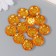Buttons plastic for creativity 2 punctures "Kant Rhin" set 12 pcs Orange d = 1.7 cm