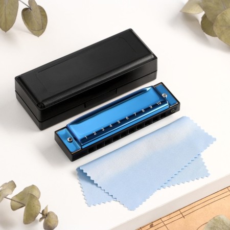 Music Life T003 Clinkle C diatonic, 10 holes, with a case, blue