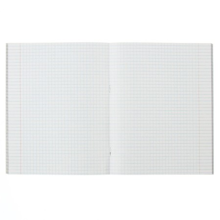 Notebook of 48 sheets in the “Ducks” cage, cover of chrome-erzatz, block No. 2 (gray sheets), mix 5 types-1