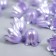 Beads for creativity plastic "Landysh Landysh Flower" set 40 pcs Violet 1x0.9x0.9 cm 91045