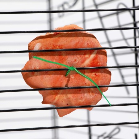Mineral stone "Pigger" for birds, peony, 45 g-4