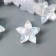 Decor for creativity Plastic "Flower-Piteris White-blue" Crystal 1.4x1.4 cm