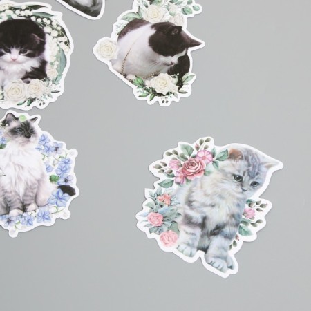 Stickers for creativity "Cats in colors" 8x8 cm set 45 pcs 0.5x14.5x9.4 cm-1