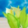 The plant is artificial aquarium, luminous, 10 cm, green