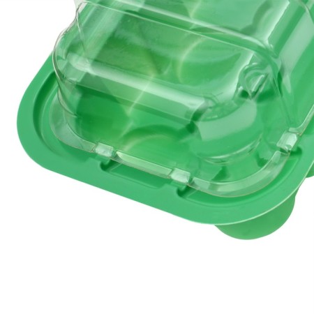 Mini-Pirate for seedlings, 24 × 12 × 11 cm, inserts (11 pcs.) For tablets for seedlings d = 3 cm, Greengo-3