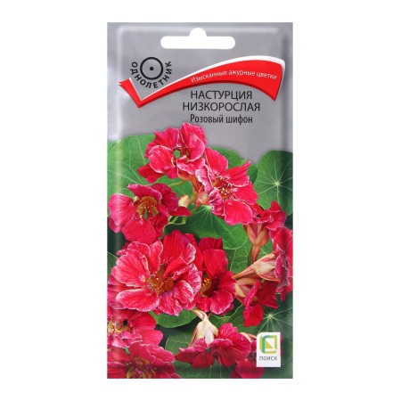 Flower seeds nasturtium stunted pink chiffon, 1gr