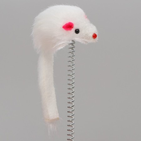 A toy for cats "Mysterious circle - fish", a mouse on a spring and a ball, 23x7 cm, red/gray-2