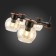 Ceiling EVOLUCE lamp. Sle108102-08. Rasco. 8x60 watts, E27, 78x78x35 cm, black color, dark tree