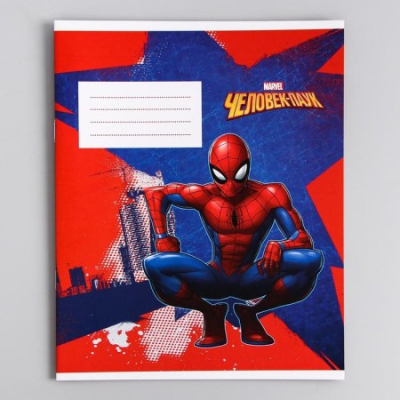 Notebook in a ruler of 12 sheets, 5 types of mix, cover coated cardboard, spider-man-8