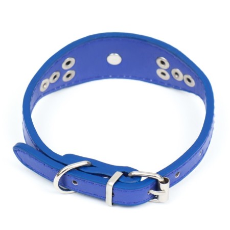 A greenhouse-gap with a puppy, 29-32 x 2.5 cm, artificial leather, blue-1