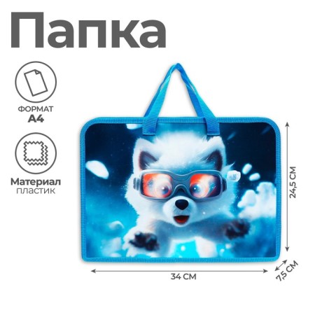 Folder with A4 handles, 340 x 245 x 75 mm, plastic, pens, Calligrata PT-14 "Druzhdov Pesik"