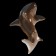 Surveillae "Shark", small, 14 × 6 × 3 cm, handmade, porcelain