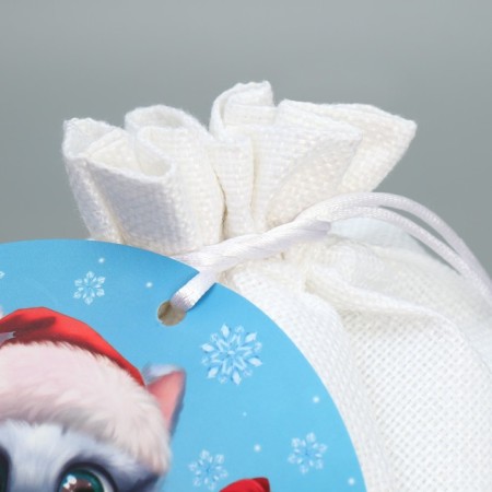 Gift bag "Druel", 20 x 30 cm +/- 1.5 cm, New Year-3