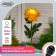 Garden lamp on the solar battery "Chrysanthemum Yellow", 75 cm, 1 LED, glow white