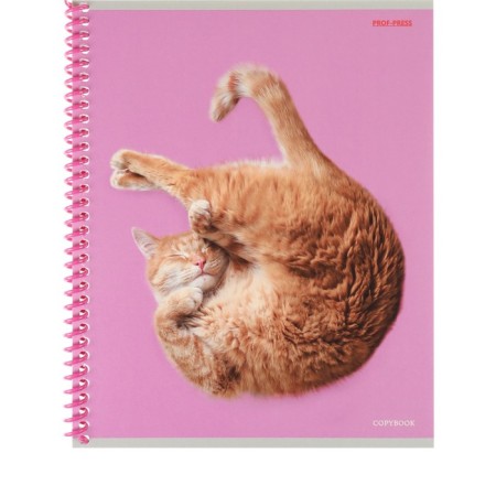 Notebook of 48 sheets in the cage on the crest "Such funny cats", cover covering cardboard, mix-3