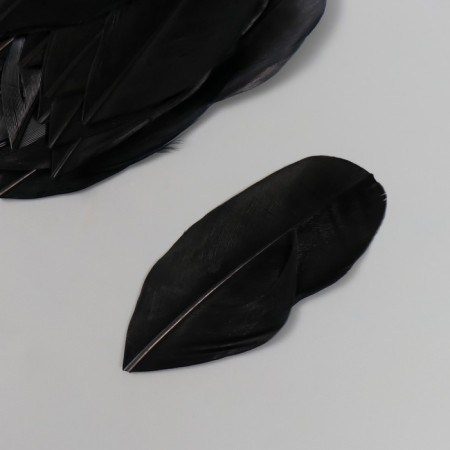 Decorative goose feature "Black" in the shape of a sheet set 40 pcs h = 5-7 cm-1
