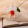 Artificial flowers "Crisp" D-11 cm H-27 cm, white