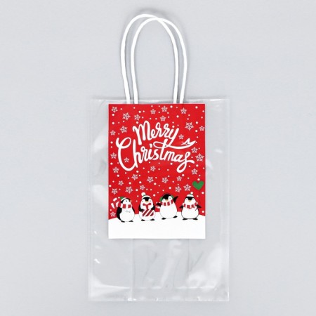 Gift package, 21 x 15 + 7.5 cm-1