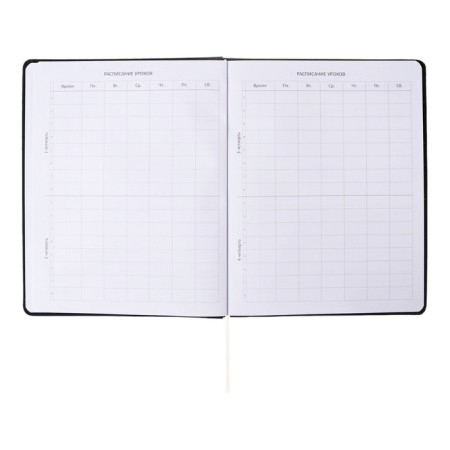 Universal diary for grade 1-11 Morning, integral cover, artificial leather, silkography, liesse, 80 g/m2-4