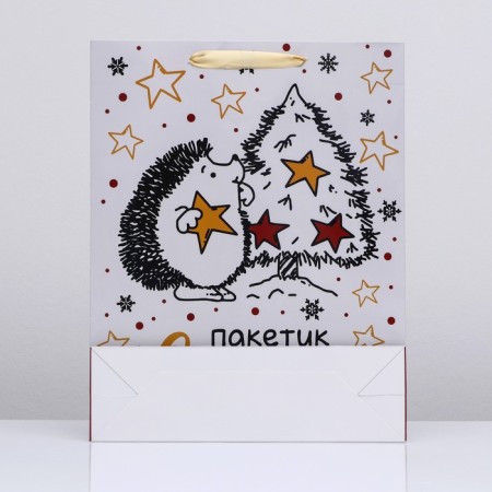 Laminated vertical "bag of happiness", 33 x 42 x 10 cm-1