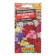 Flox seeds "Festive salute",