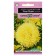 Flower seeds Astra "Lady Coral Yellow", one -year -old, an exclusive series, 0.05 g