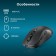 Mouse call 610MWC black optical (1600DPI) wireless USB/USB-C for a laptop (6but)